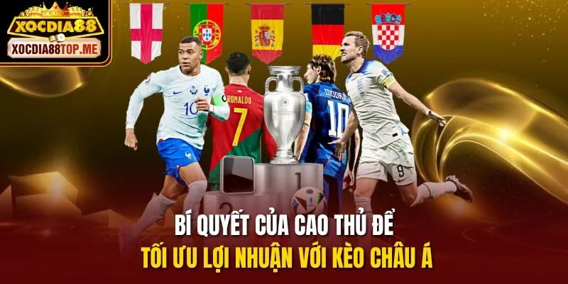 Bí quyết của cao thủ để tối ưu lợi nhuận với kèo Châu Á